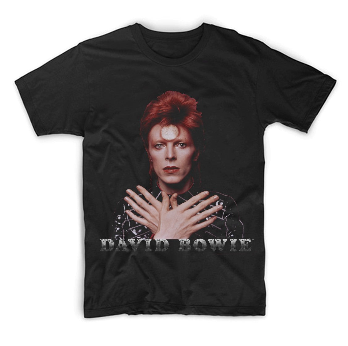 PSP-DBW-1003 David Bowie Ziggy 1973