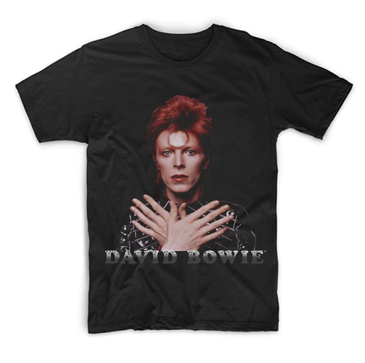 PSP-DBW-1003 David Bowie Ziggy 1973
